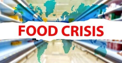 An Engineered Food and Poverty Crisis to Secure Continued U.S. Dominance  Rockefeller-foundation-reset-table-covid-food-crisis-feature-800x417-400x209-1